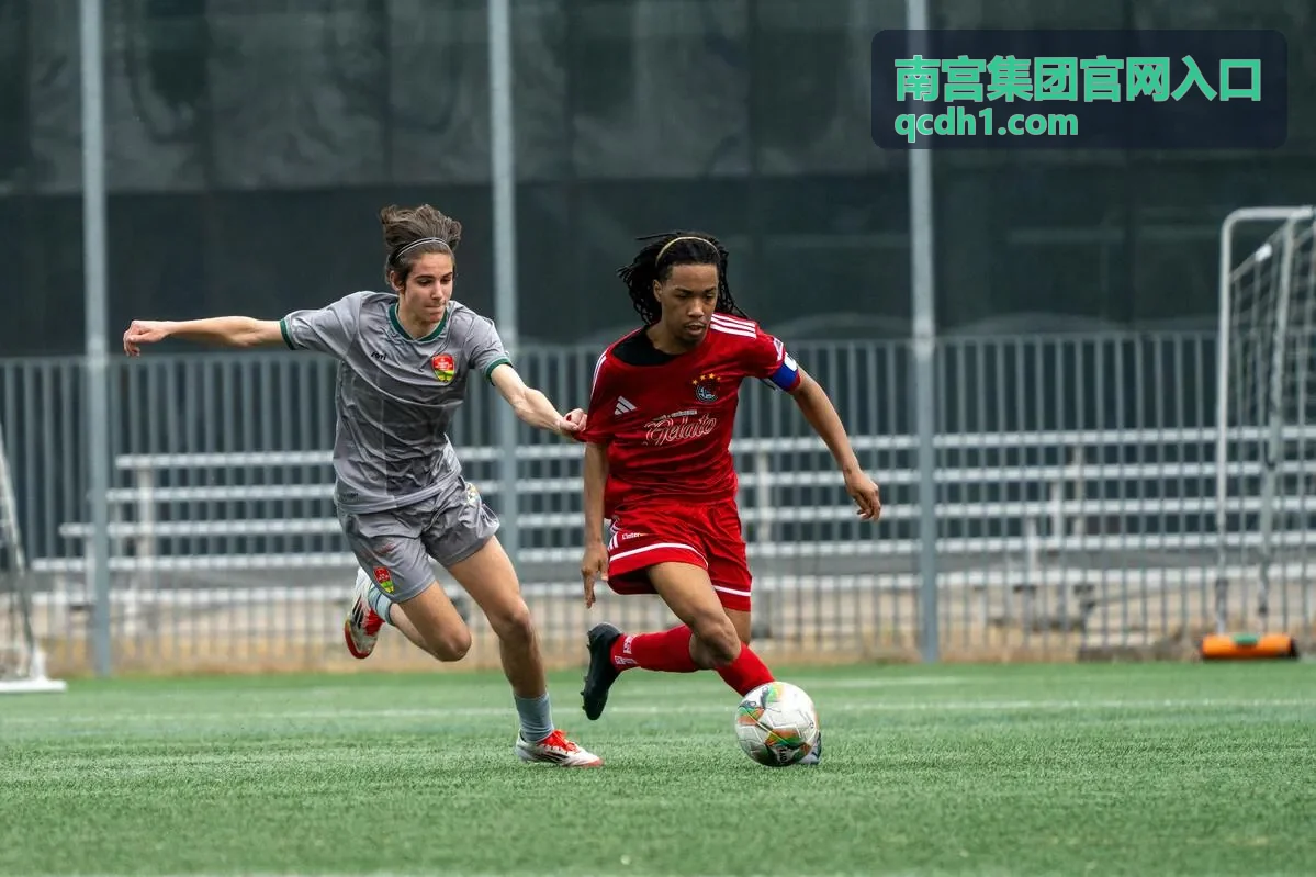 南宫集团官网入口中型企业资源对接服务
