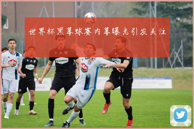 世界杯黑幕球赛内幕曝光引发关注